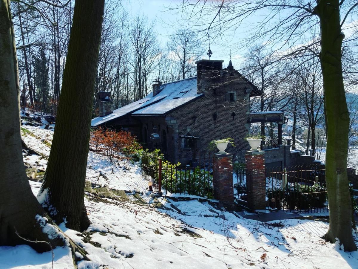 Trumpet House * Lovaina