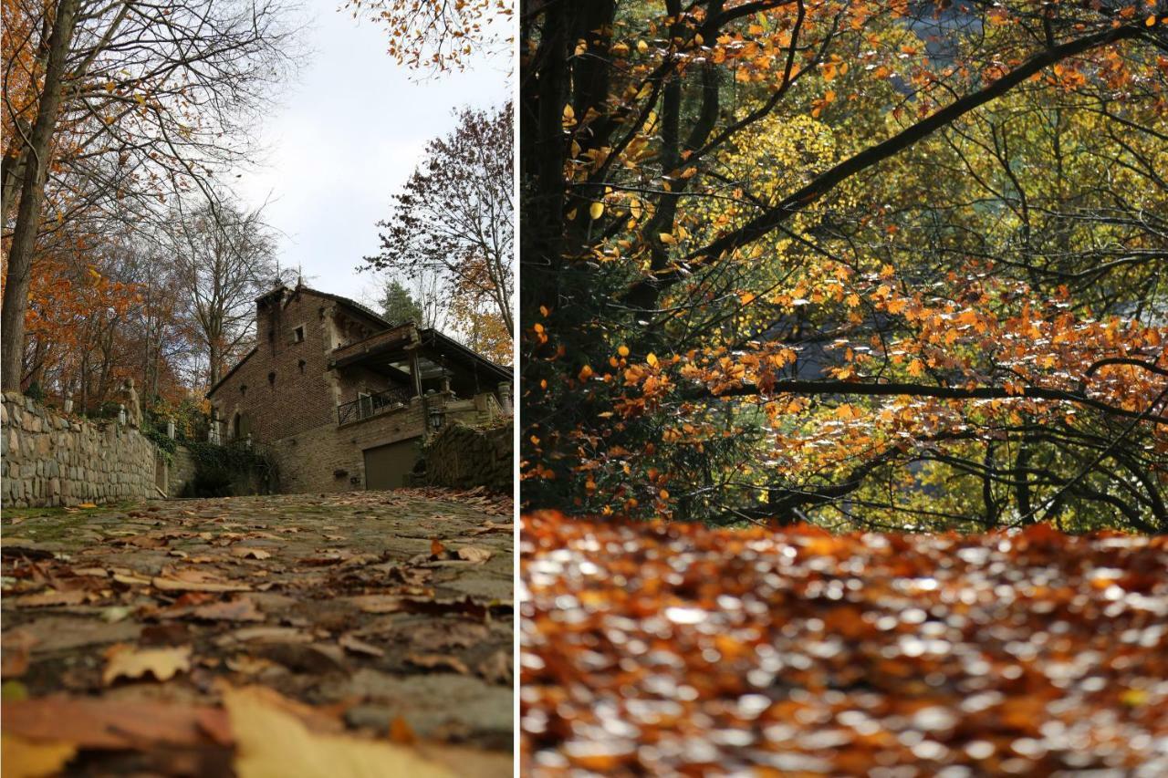 Ferienhaus Trumpet House *